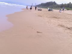 -三亚亚龙湾金棕榈度假酒店