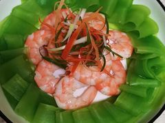-田螺阿姨自营月嫂·育儿嫂(高新店)
