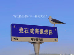 -海驴岛(荣成市)