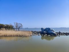 -上海吴淞炮台湾国家湿地公园