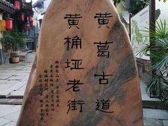 -南山植物园