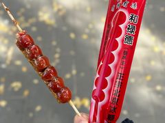 -和禄德冰糖葫芦
