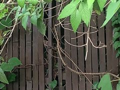 -斯多格书乡(北京大学畅春园店)