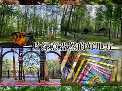 -合肥滨湖国家森林公园