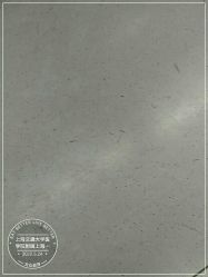 -上海交通大学医学院附属上海儿童医学中心(陆家嘴总院区)