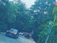 -广东惠东海龟国家级自然保护区