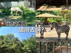 -北京动物园