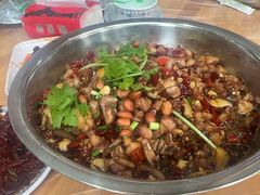 -食神又名厕所兔