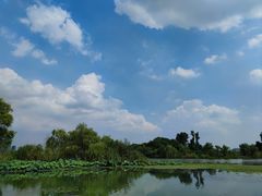 -渤公岛生态公园