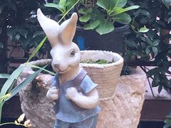 -谷咖啡·鲜花绿植花园餐厅