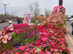 -苏州上方山国家森林公园