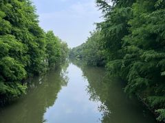 -昆山城市生态森林公园