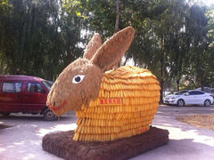 iphone_upload_pic-北戴河集发农业梦想王国