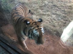-昆明动物园