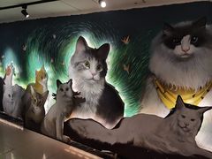 -猫腻·猫咖·撸猫馆(星光大道店)