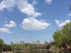 天鹅湖-西安秦岭野生动物园