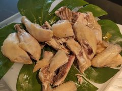 -汤城·料青山