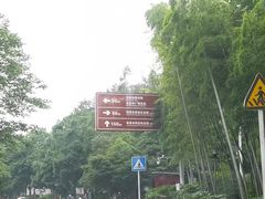 -韶山毛泽东同志故居