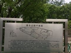 -泰丰公园