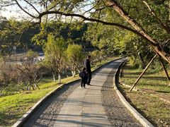 -幕燕滨江·长江观音景区