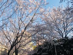 -上海体育场(地铁站)