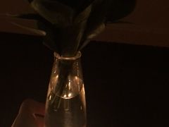 -The lounge 柏悦酒店大堂酒廊(上海环球金融中心店)