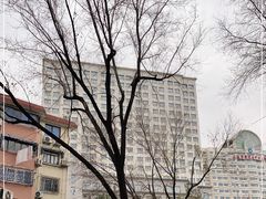 -上海市普陀区中心医院