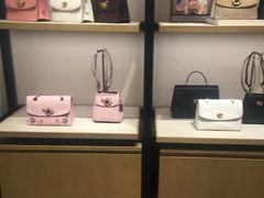 -COACH蔻驰(星光68广场店)