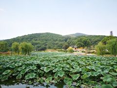 -龙寺生态园