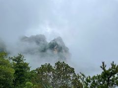-王顺山国家森林公园