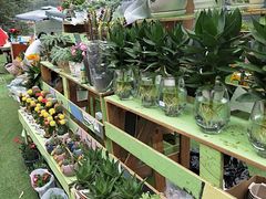 -三圣花乡旅游区