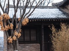 -白鹿原影视城