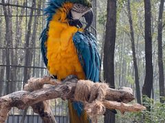 -北京野生动物园