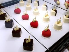 -BLACKSWAN黑天鹅(环球店)