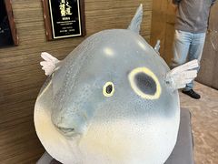 -肆月河豚·新淮扬(金融街店)