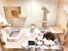 -Double Rui宠物酒店