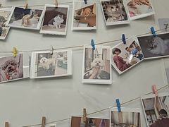 -瑞派康怡24h宠物医院·犬猫医疗中心·微创绝育(瑞景分院)