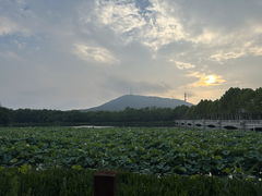 -大蜀山国家森林公园