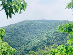 -惠山国家森林公园
