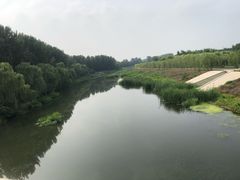 -东郊湿地公园