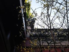 -钱王祠
