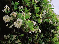 -江宁织造博物馆