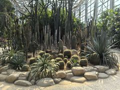 -祥源·阜阳生态乐园