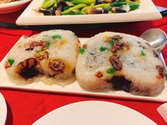 -泰康之家·申园