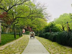 -西湖外事游船(花港观鱼码头)