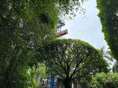 -深圳欢乐谷