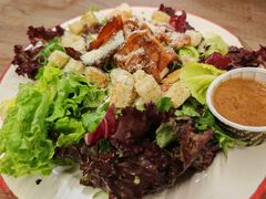 -Tubestation站点比萨(五道营店)