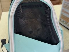 -天宠宠物医院24小时·急重症诊疗中心·全科·腔镜特色(和平分院)