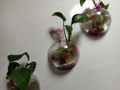 -静 泰养生(黄金城道店)