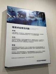 -碧莲盛·不剃发植发